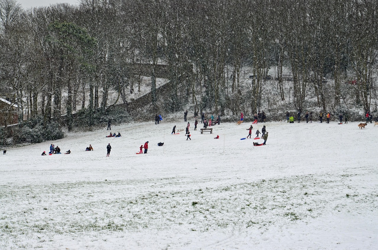 河南最新鐵價動態(tài)分析與趨勢預測
