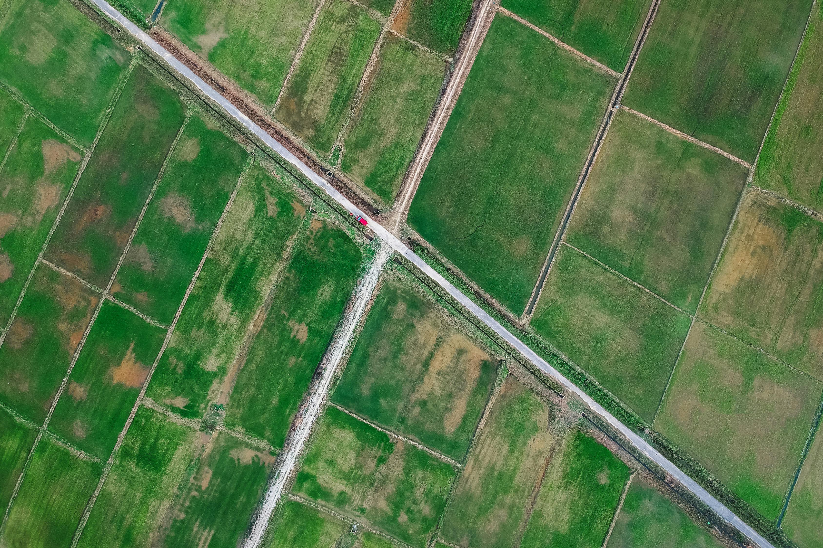 蔬菜實(shí)時(shí)價(jià)格分析與市場動(dòng)態(tài)洞察及消費(fèi)者行為探討