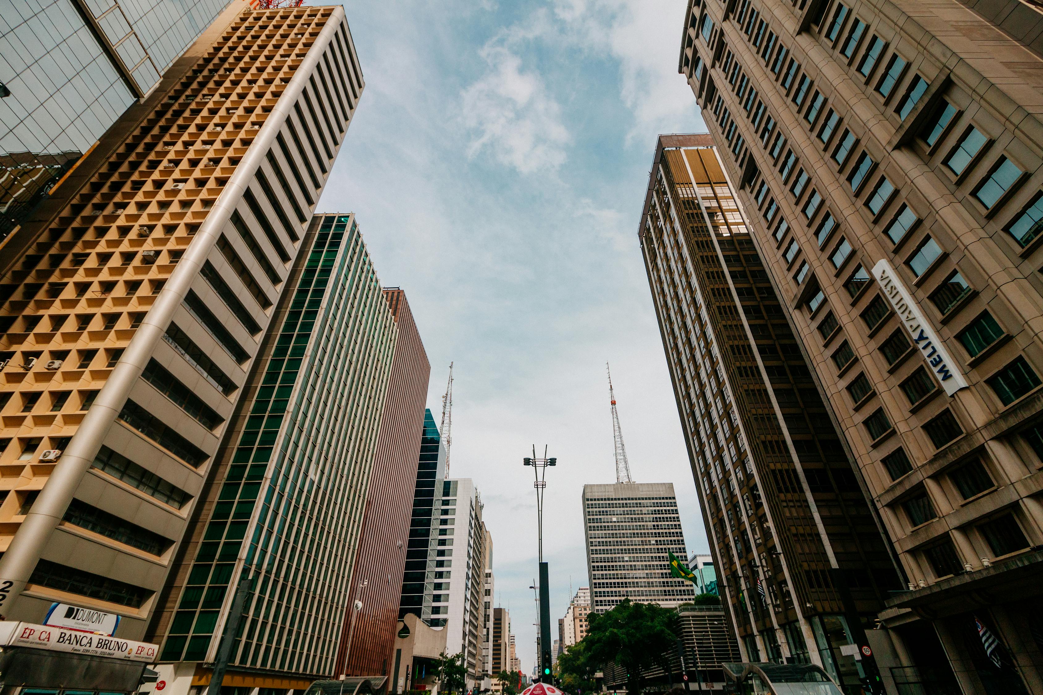 河南淮陽最新資訊,解讀城市發(fā)展的脈搏與熱點(diǎn)