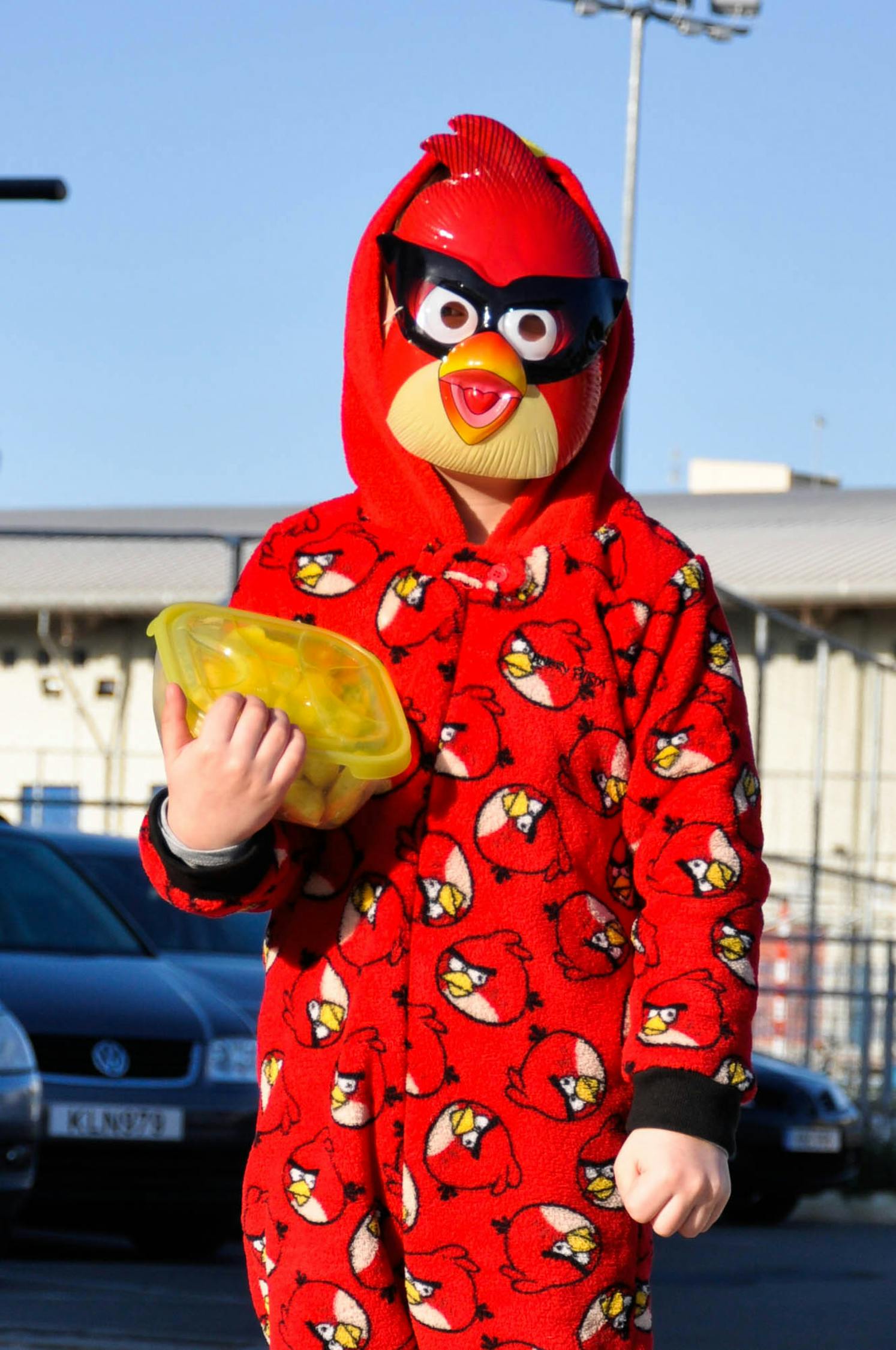 憤怒的小鳥(niǎo)電影概述