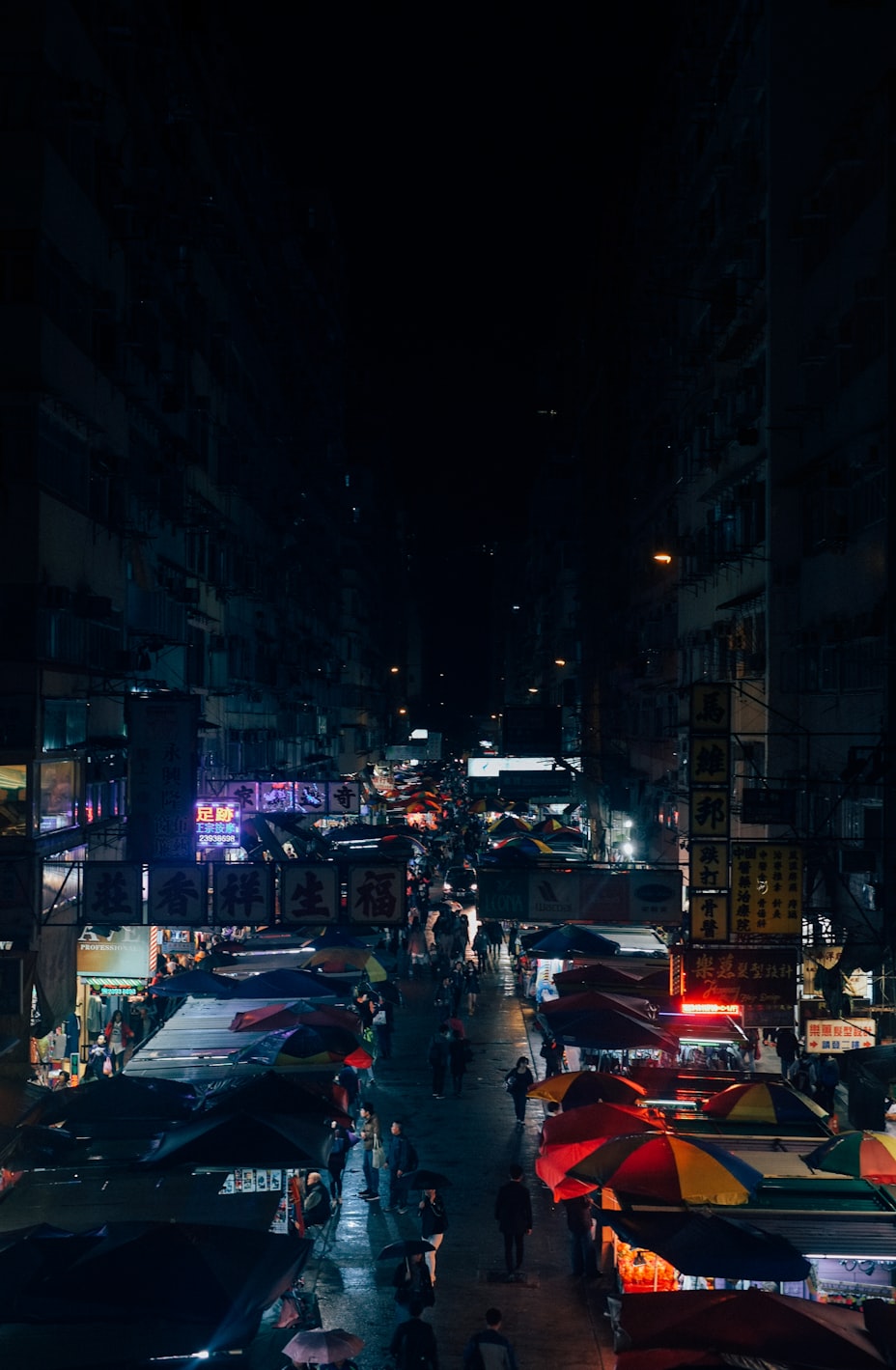 江蘇連云港明星,文化之路的璀璨光芒