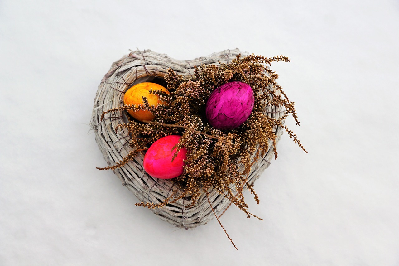 鹿輝陽(yáng)最新動(dòng)態(tài)，未來(lái)之星的新篇章揭曉