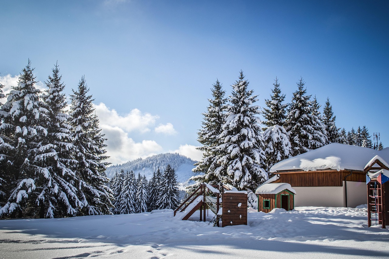 諾基亞8最新動態(tài),引領(lǐng)時代潮流,展現(xiàn)獨(dú)特魅力風(fēng)采