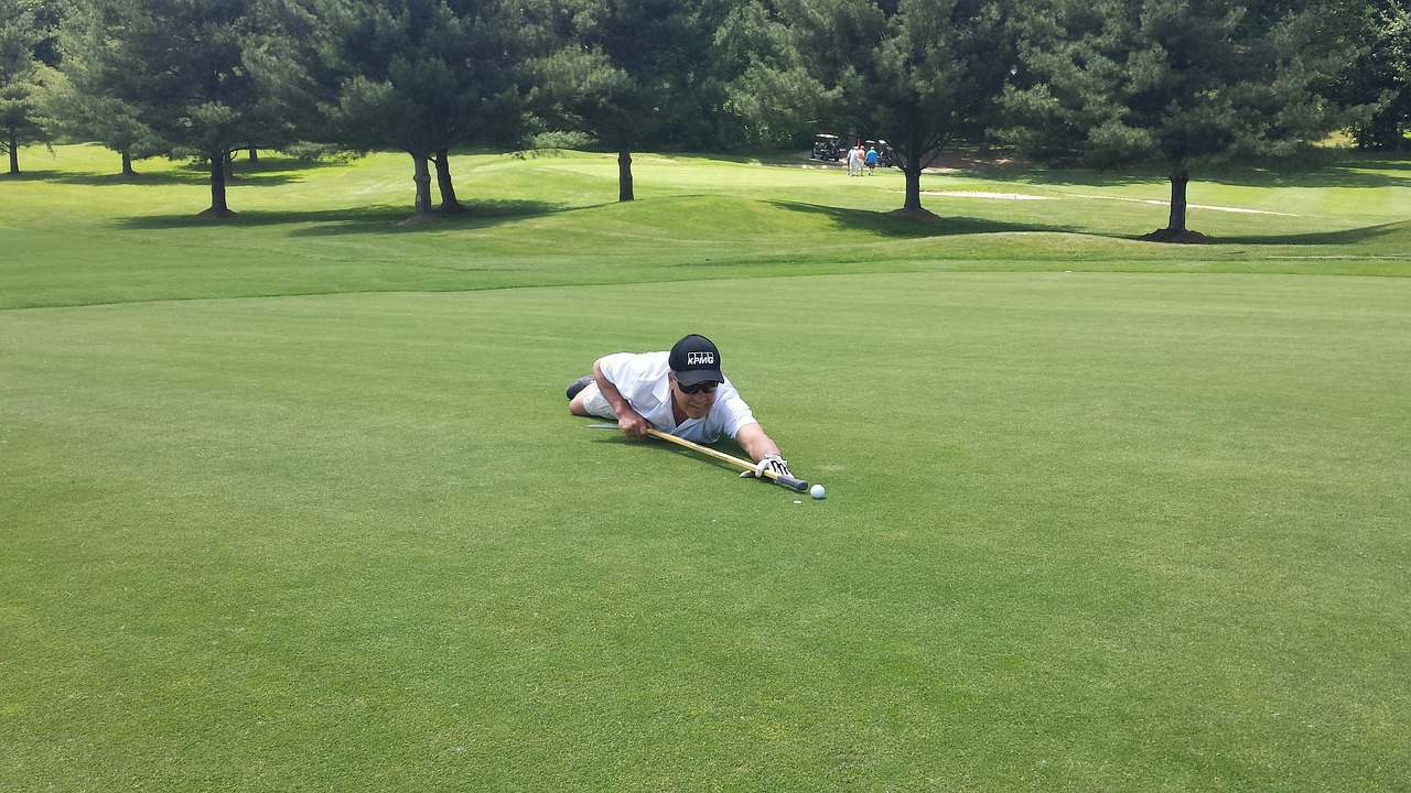 探索綠色娛樂(lè)新紀(jì)元，最新視頻青青草薈萃