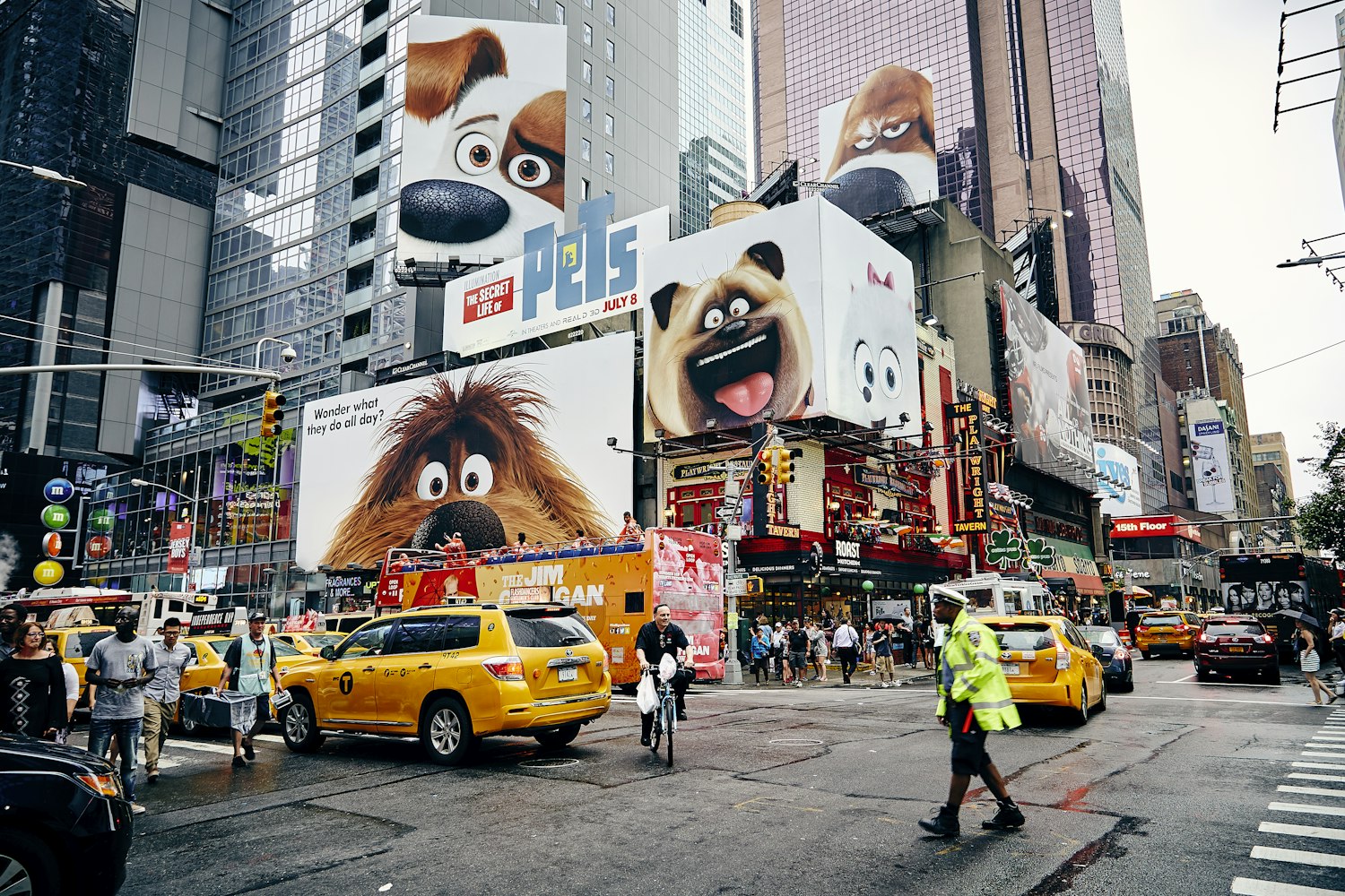 紐約最新動(dòng)態(tài)，城市脈搏跳動(dòng)與時(shí)代展望