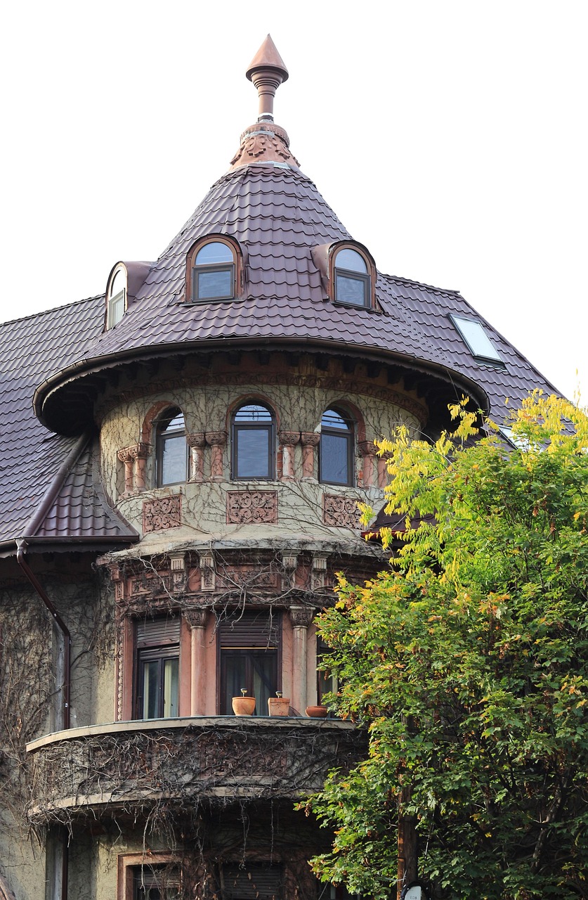 純白襯衫 第12頁