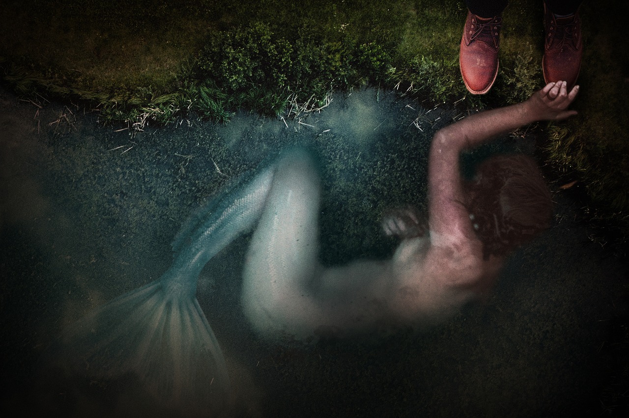 探究明星臉背后的神秘面紗,美麗背后的真相揭秘