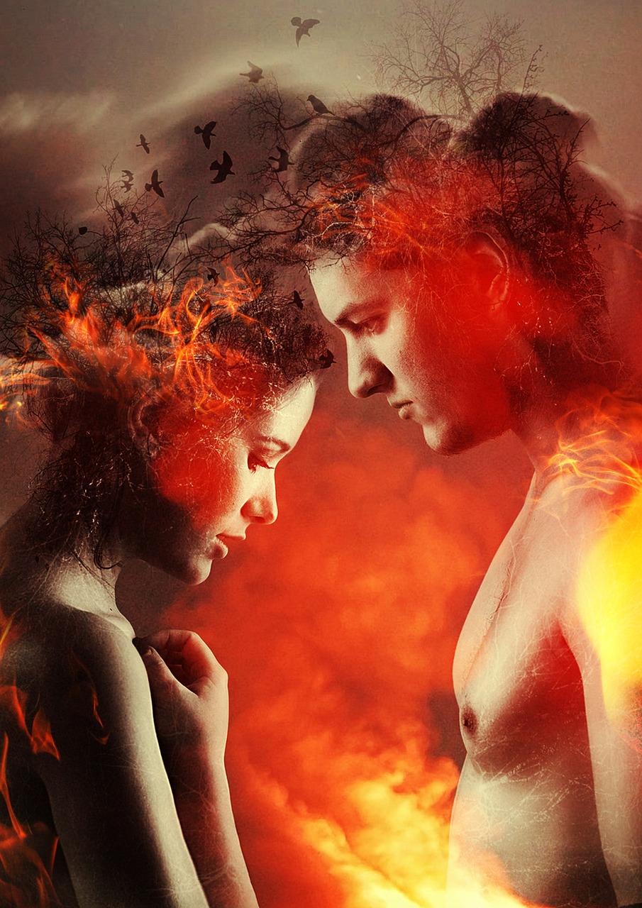 獸夫情緣新篇章,探尋未知世界的浪漫奇緣之旅