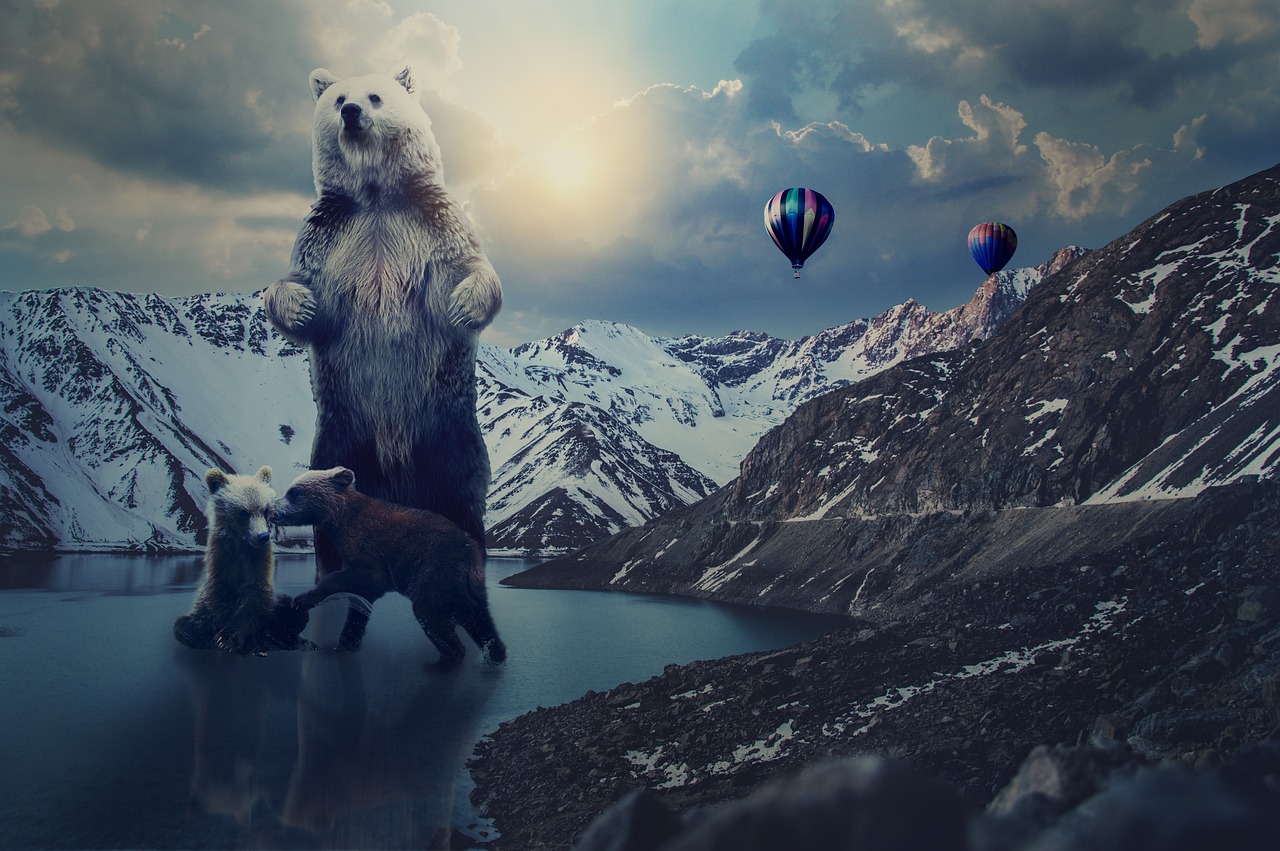 夜店之王電影,光影娛樂王國的傳奇之旅