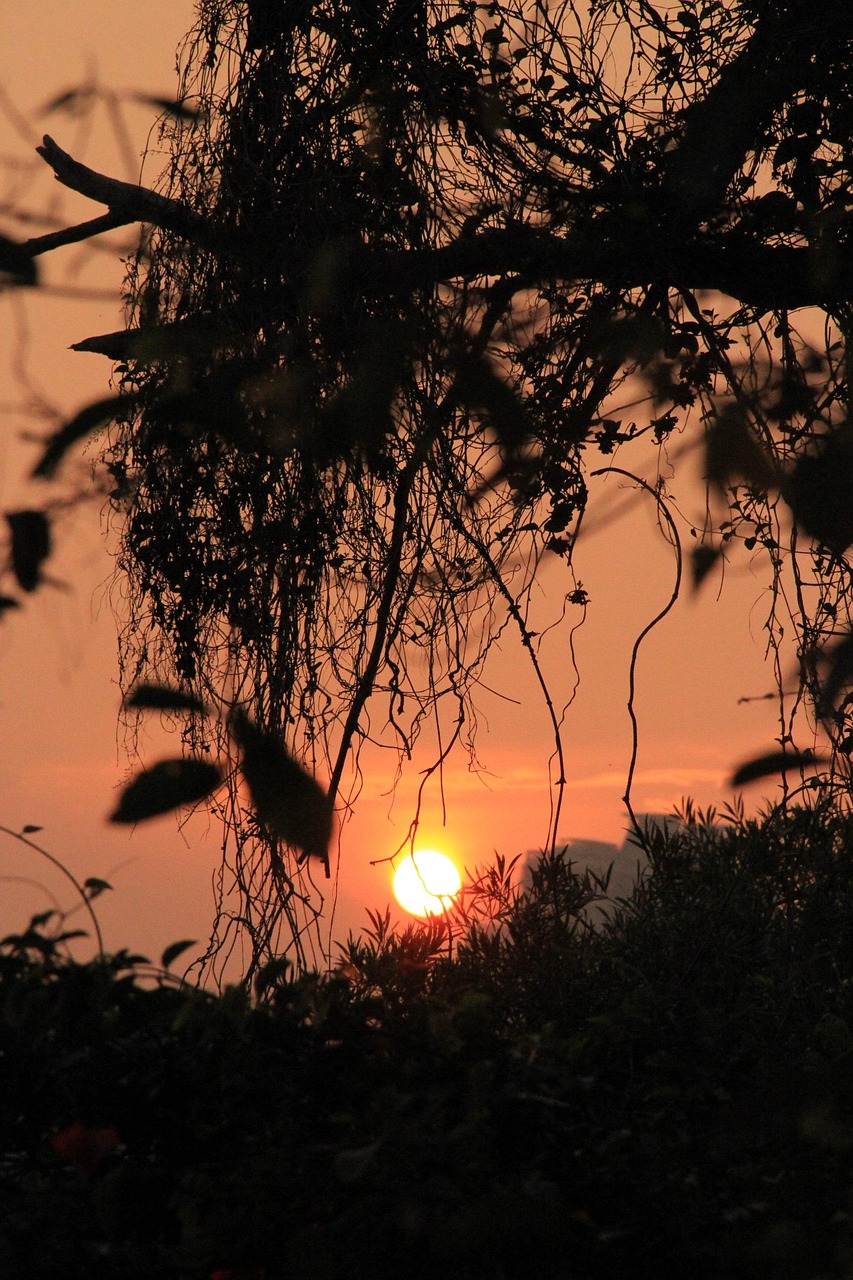 最新外地來京動態(tài),多元融合與活力迸發(fā)的北京