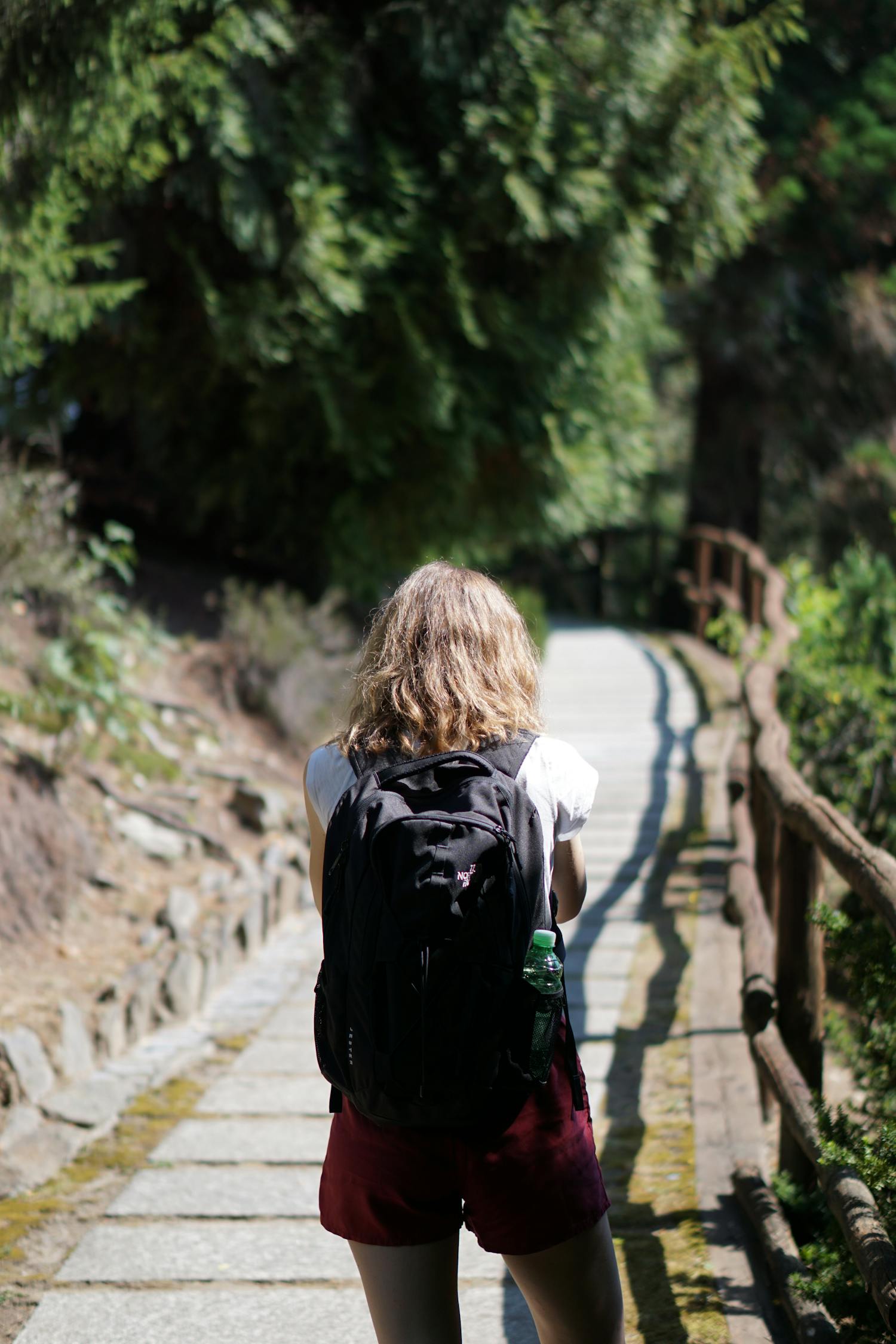 鄉(xiāng)村艷遇，自然之美與心靈的邂逅