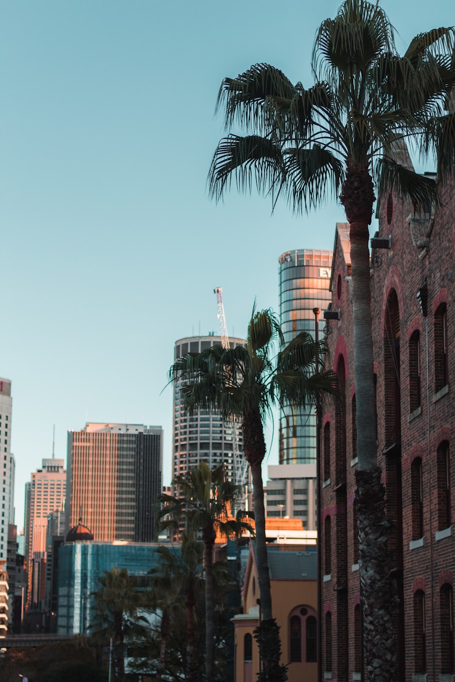 自由城市在線新版，重塑未來(lái)城市生活藍(lán)圖