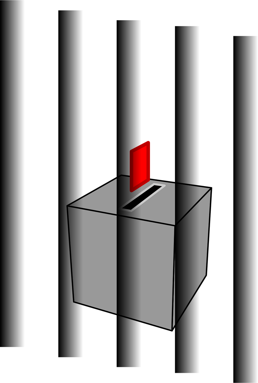 金定鴨行情深度分析，最新市場動態(tài)與趨勢預(yù)測