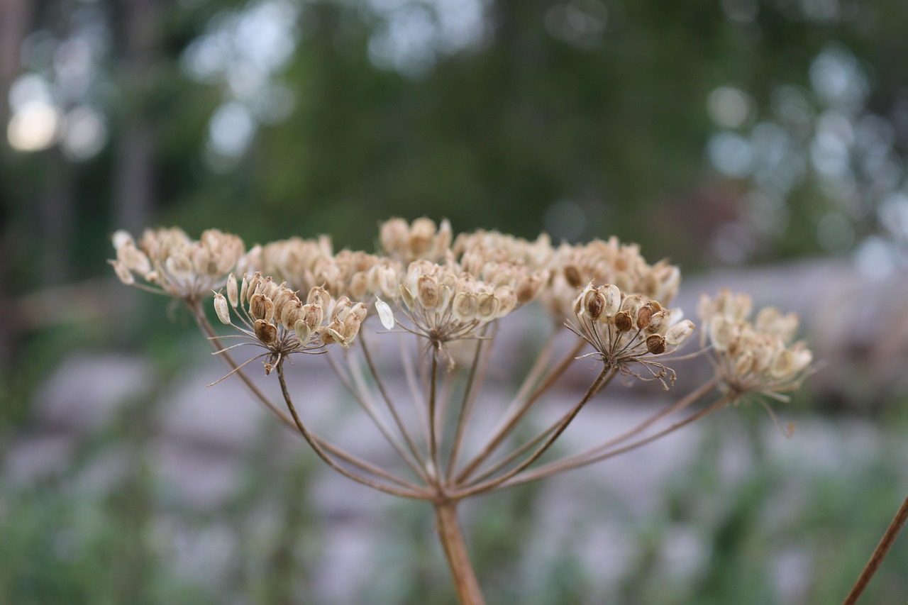 沒(méi)有的事 第9頁(yè)