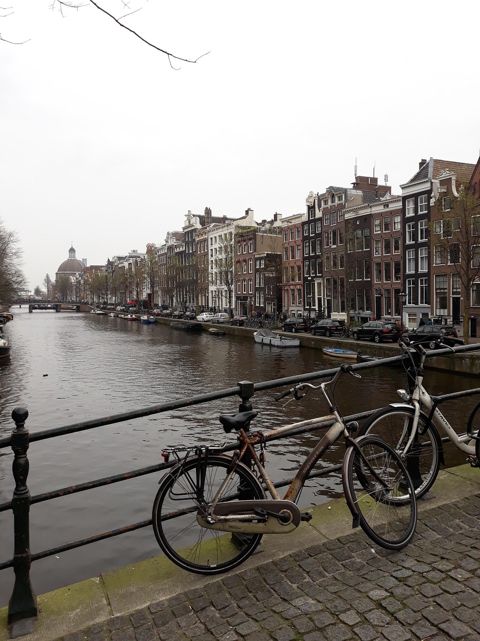 西安放魚最新動態(tài)，城市水域生態(tài)修復(fù)中的公眾參與之路