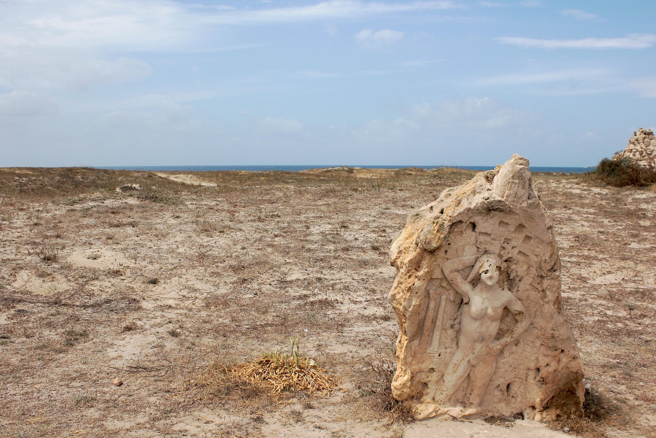 度尾木蘭大道最新進(jìn)展與動態(tài)更新