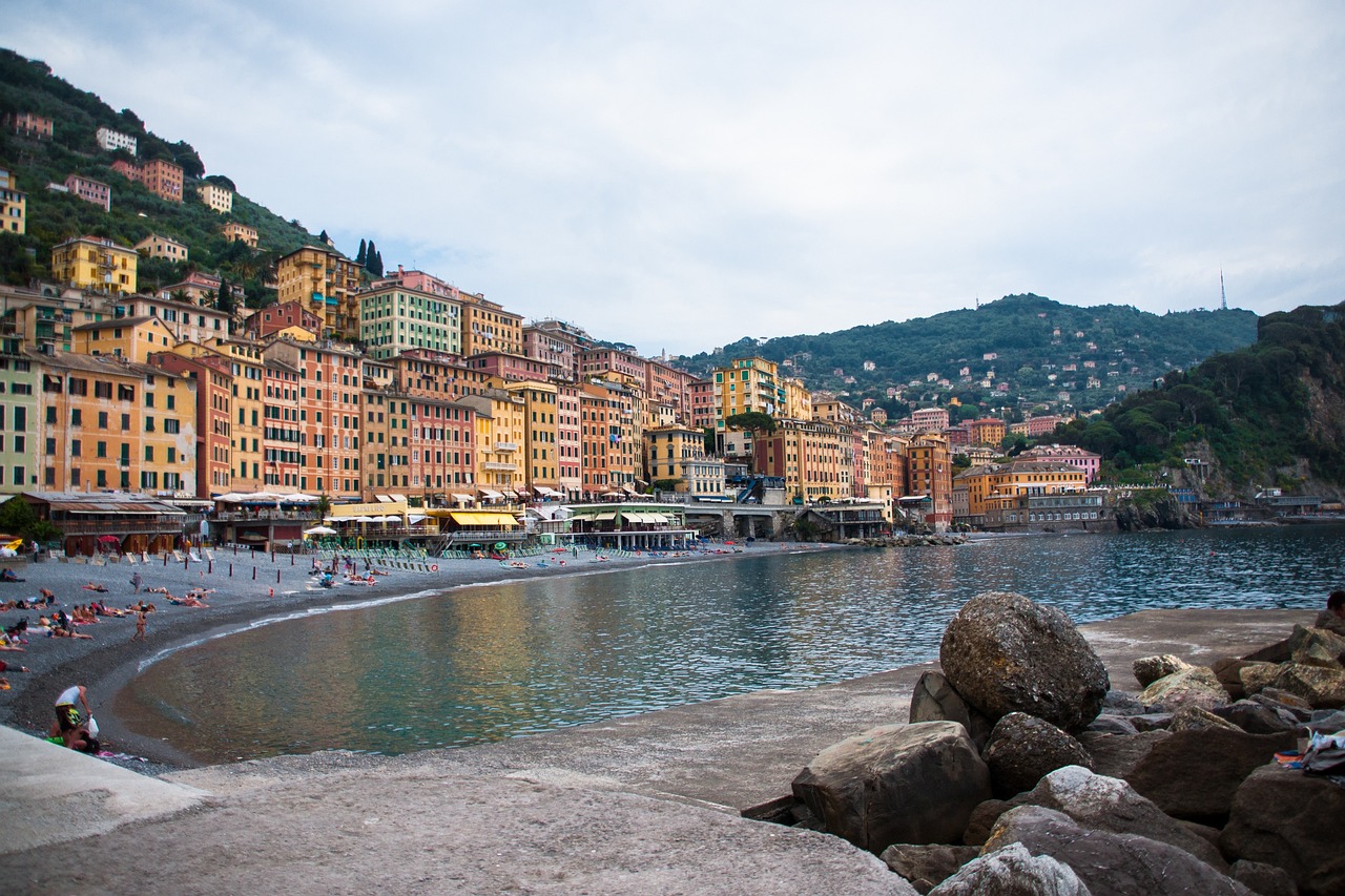 生豬最新價(jià)格動(dòng)態(tài)分析與趨勢(shì)預(yù)測(cè)