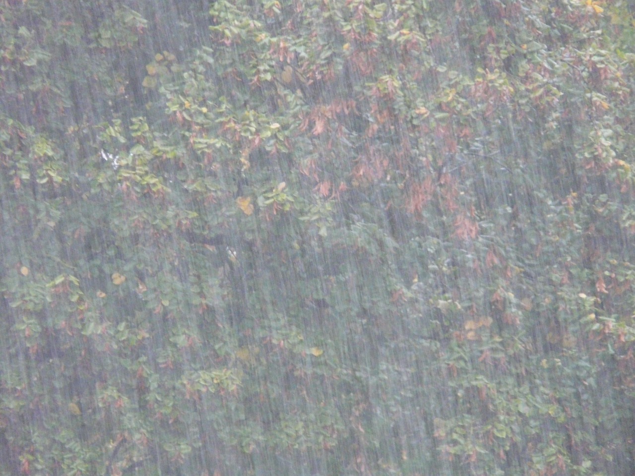 縣域經(jīng)濟(jì)蓬勃發(fā)展,今日盤(pán)縣最新動(dòng)態(tài)揭秘新篇章