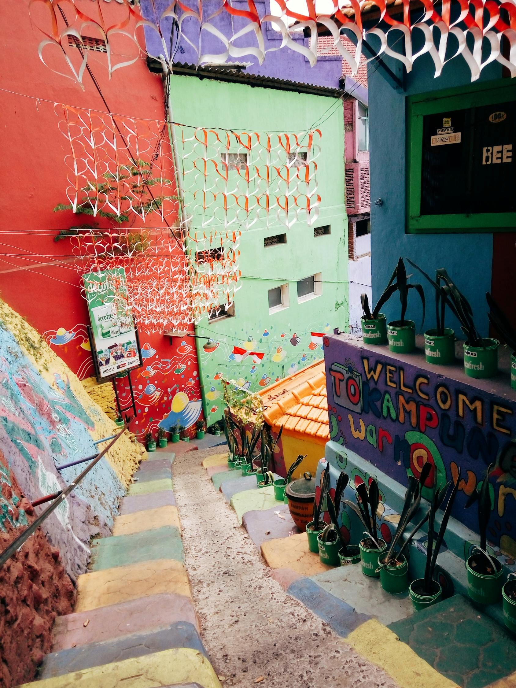 云南最新資訊速遞，探索多彩云南的無限魅力與最新動(dòng)態(tài)