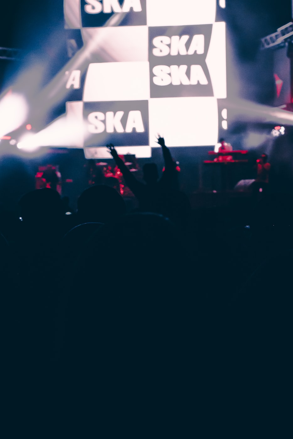 2019動(dòng)漫領(lǐng)域的璀璨繁星閃耀熒屏