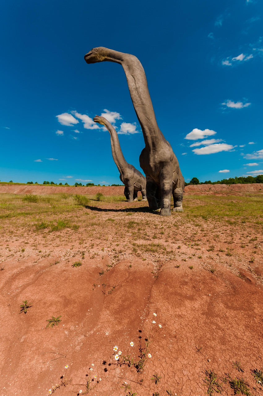 陜西多元發(fā)展活力與潛力展現(xiàn)新動態(tài)