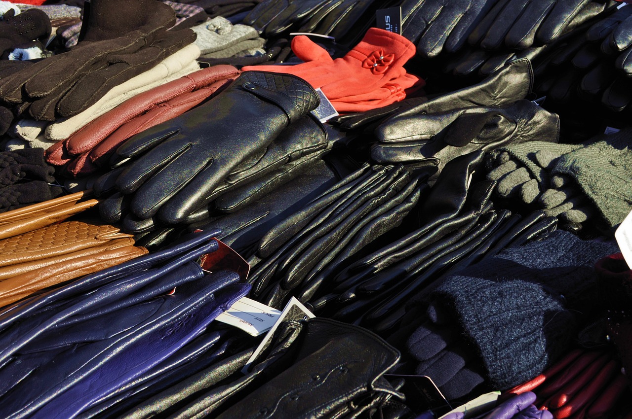 黃鱔新版本探索與發(fā)現(xiàn)揭秘