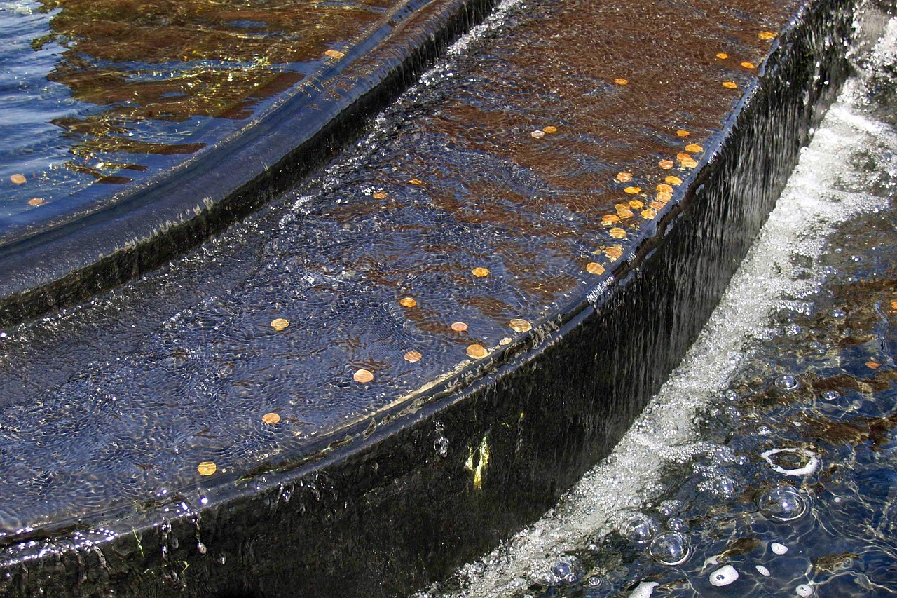 喂奶姐最新動態(tài)，開啟母嬰健康新篇章