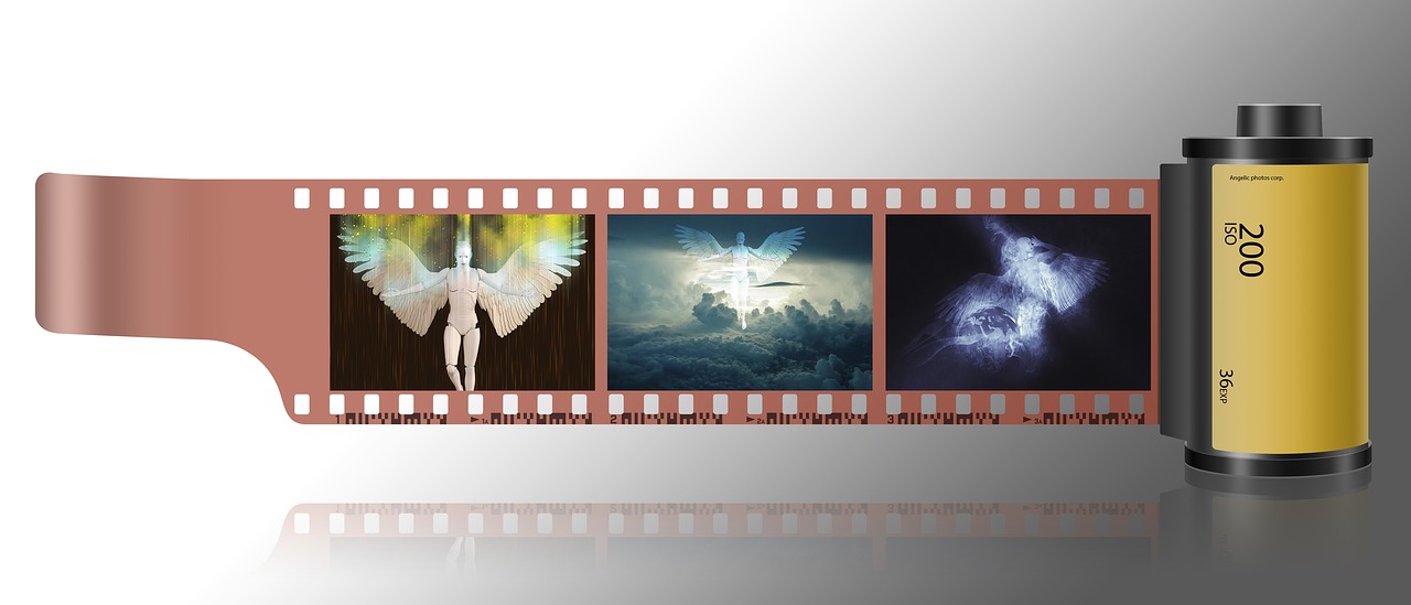 清代戶部大銅幣拍賣(mài)信息全解析,最新拍賣(mài)動(dòng)態(tài)及詳解