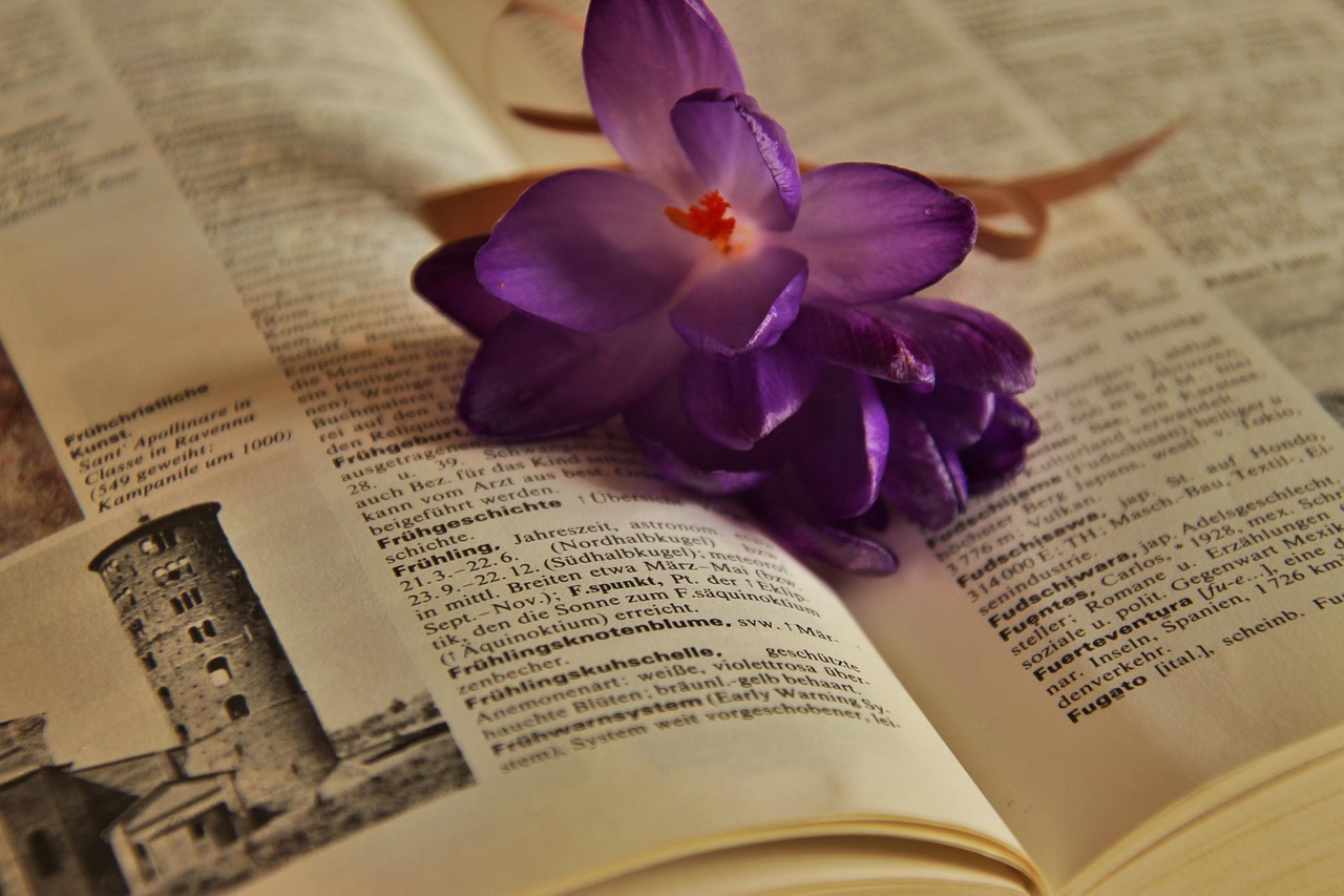 名門之約最新篇章，啟示與探索