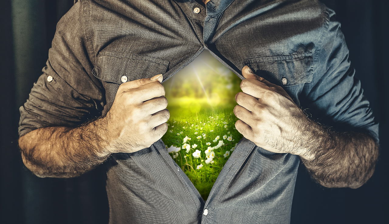 庫存股票,深度解析其含義與重要性