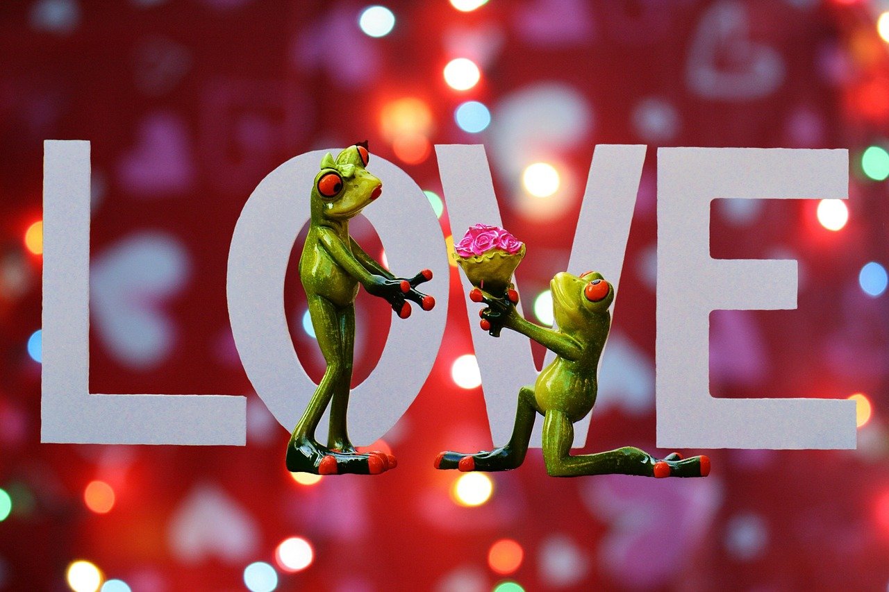 最新入黨誓詞，信仰、責(zé)任與擔(dān)當(dāng)?shù)那f嚴(yán)承諾啟航