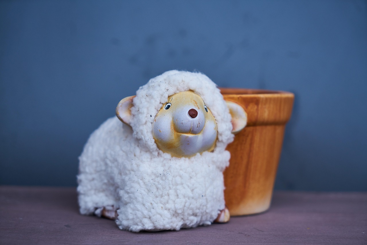 白坑湖動(dòng)態(tài)更新，自然美景與現(xiàn)代科技的和諧交融