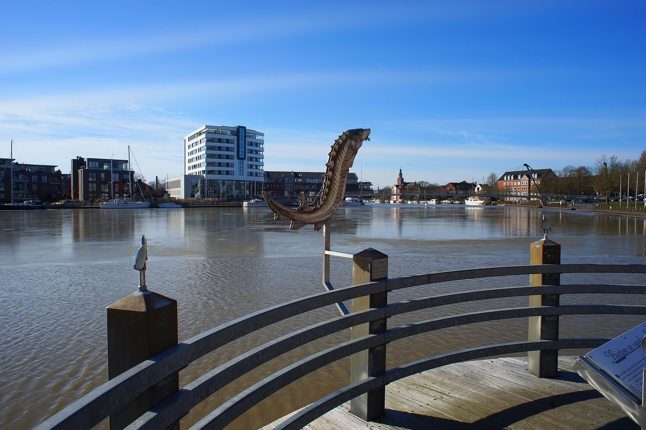 青海諾木洪枸杞最新價格動態(tài)與市場影響力分析