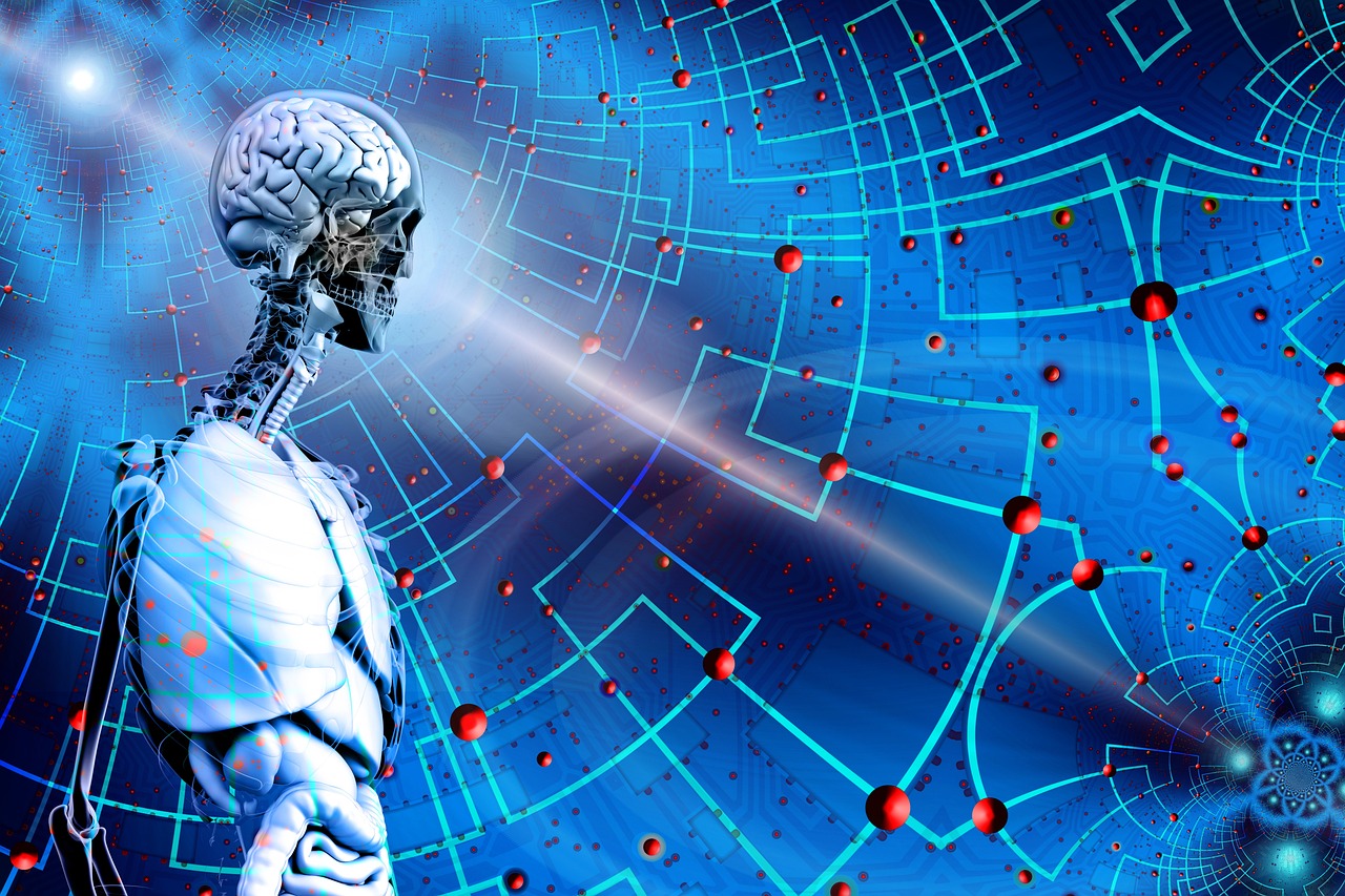 成都地鐵最新動態(tài)，城市脈絡新拓展與未來便捷出行展望