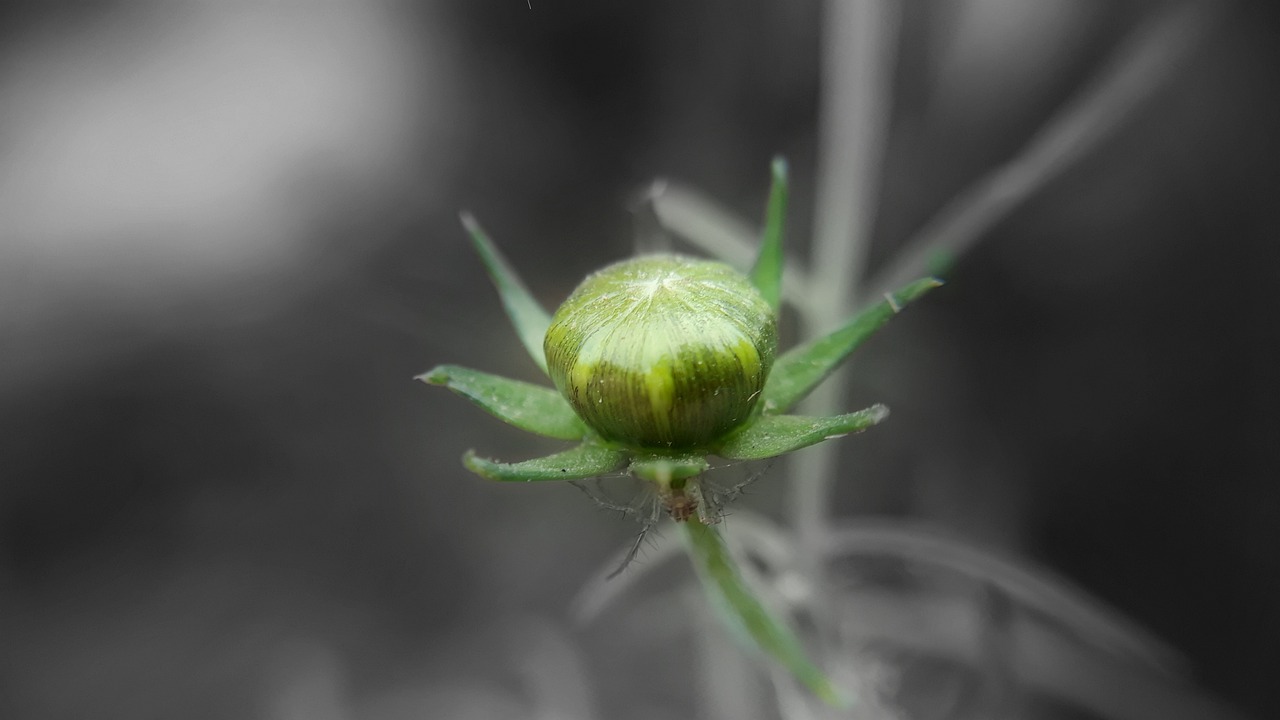 和林格爾國家級新區(qū)，最新動態(tài)揭示蓬勃發(fā)展新引擎