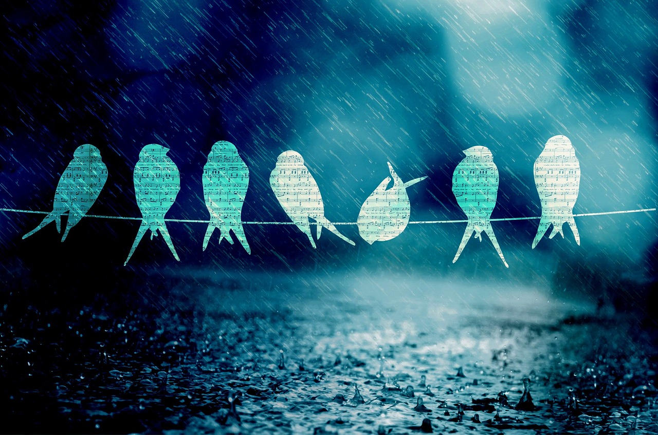 華晨宇新歌發(fā)布,引領(lǐng)音樂(lè)新風(fēng)尚的力作!