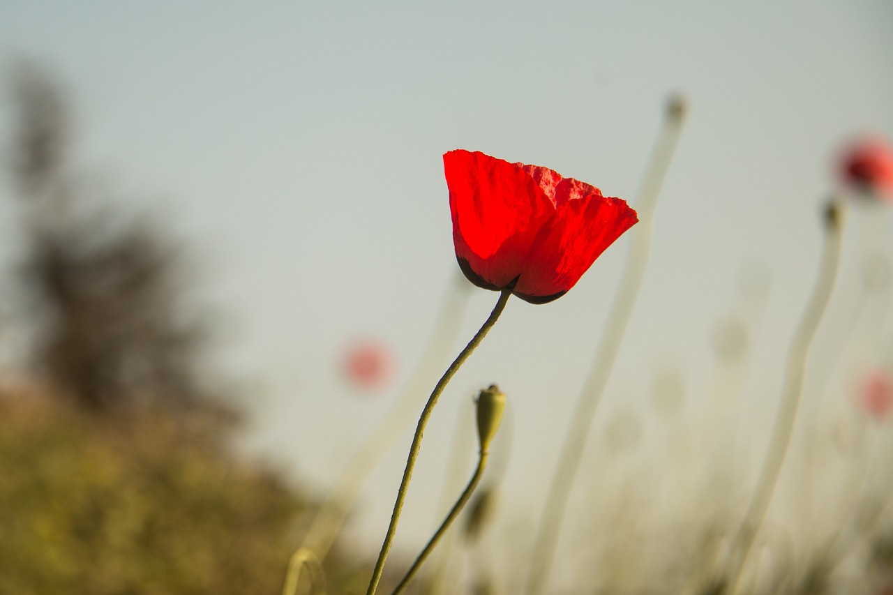 浙江最新臺(tái)風(fēng)動(dòng)態(tài)及應(yīng)對(duì)措施，影響與防御指南