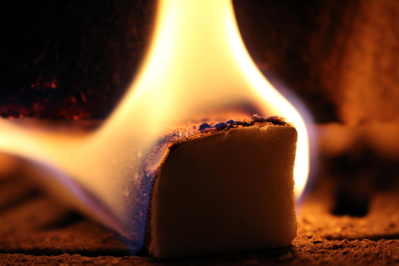 益陽楊光鑫最新動(dòng)態(tài),揭開成功神秘面紗的真相