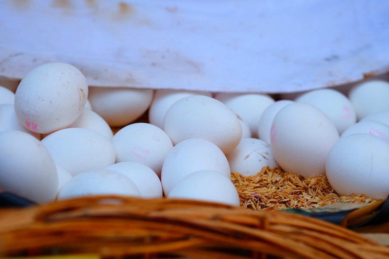 西洋肥料價格走勢,市場動態(tài)、影響因素與未來趨勢分析