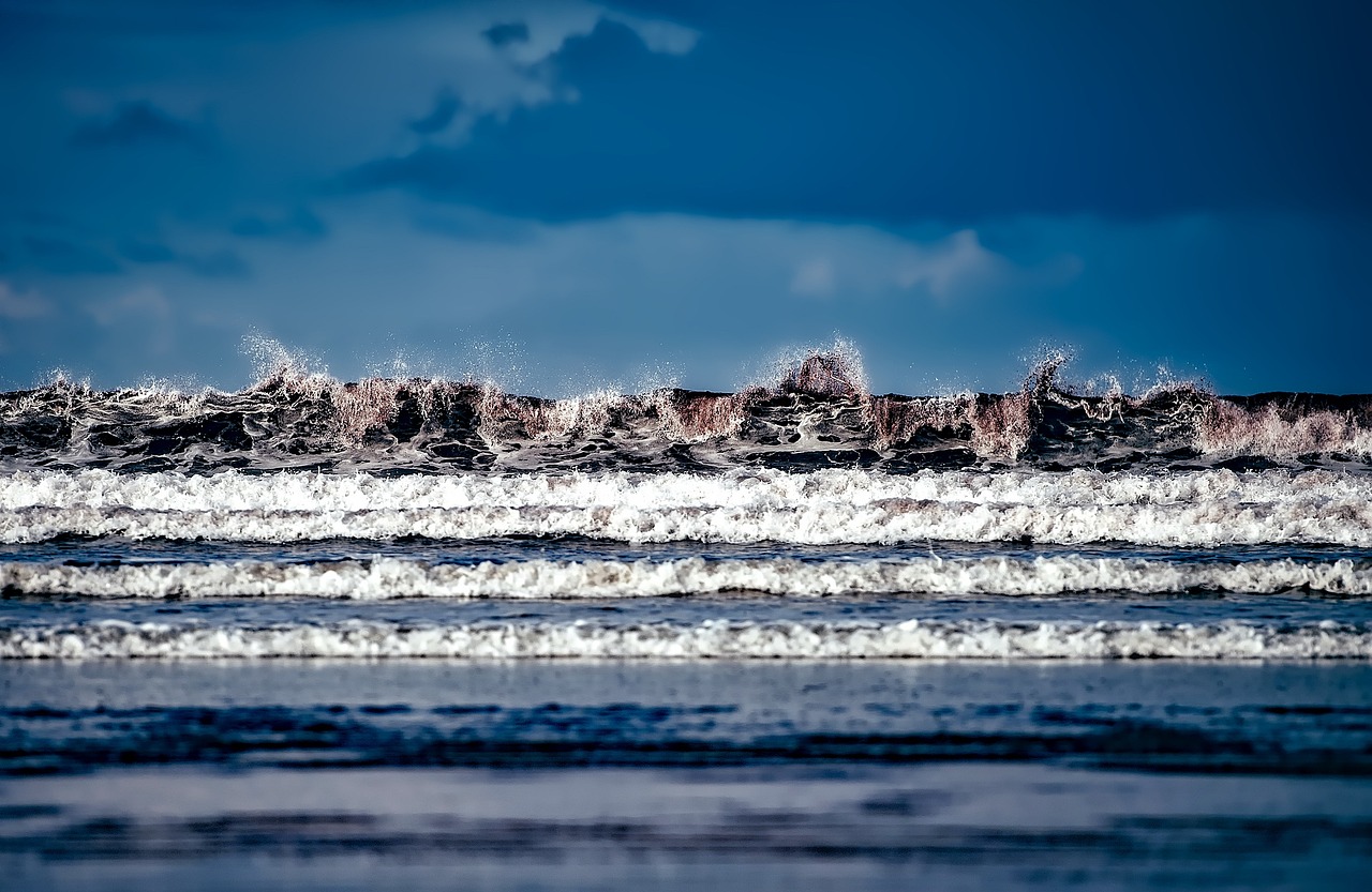 朱軍最新跨界動(dòng)態(tài),多元展現(xiàn)發(fā)展之路