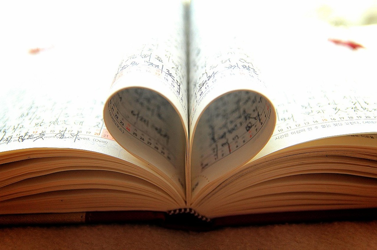 最新婚紗照集,捕捉愛情的永恒瞬間,記錄美好回憶的珍藏篇章