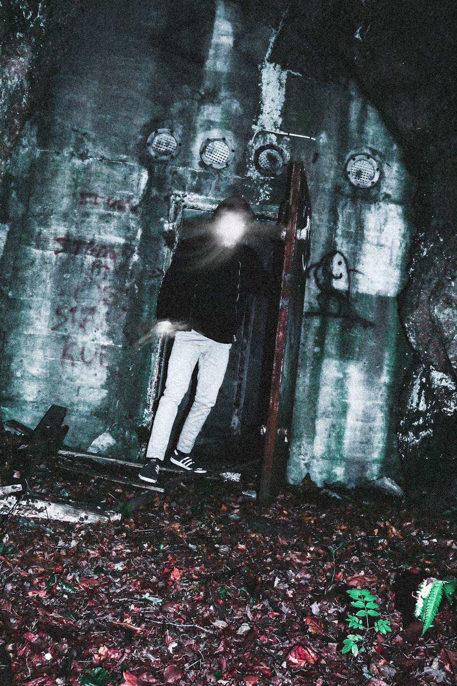 野爹最新篇章,探索未知征途的冒險(xiǎn)之旅