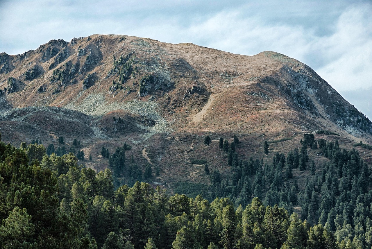 李莊新區(qū)蓬勃發(fā)展,城市新面貌的最新動(dòng)態(tài)