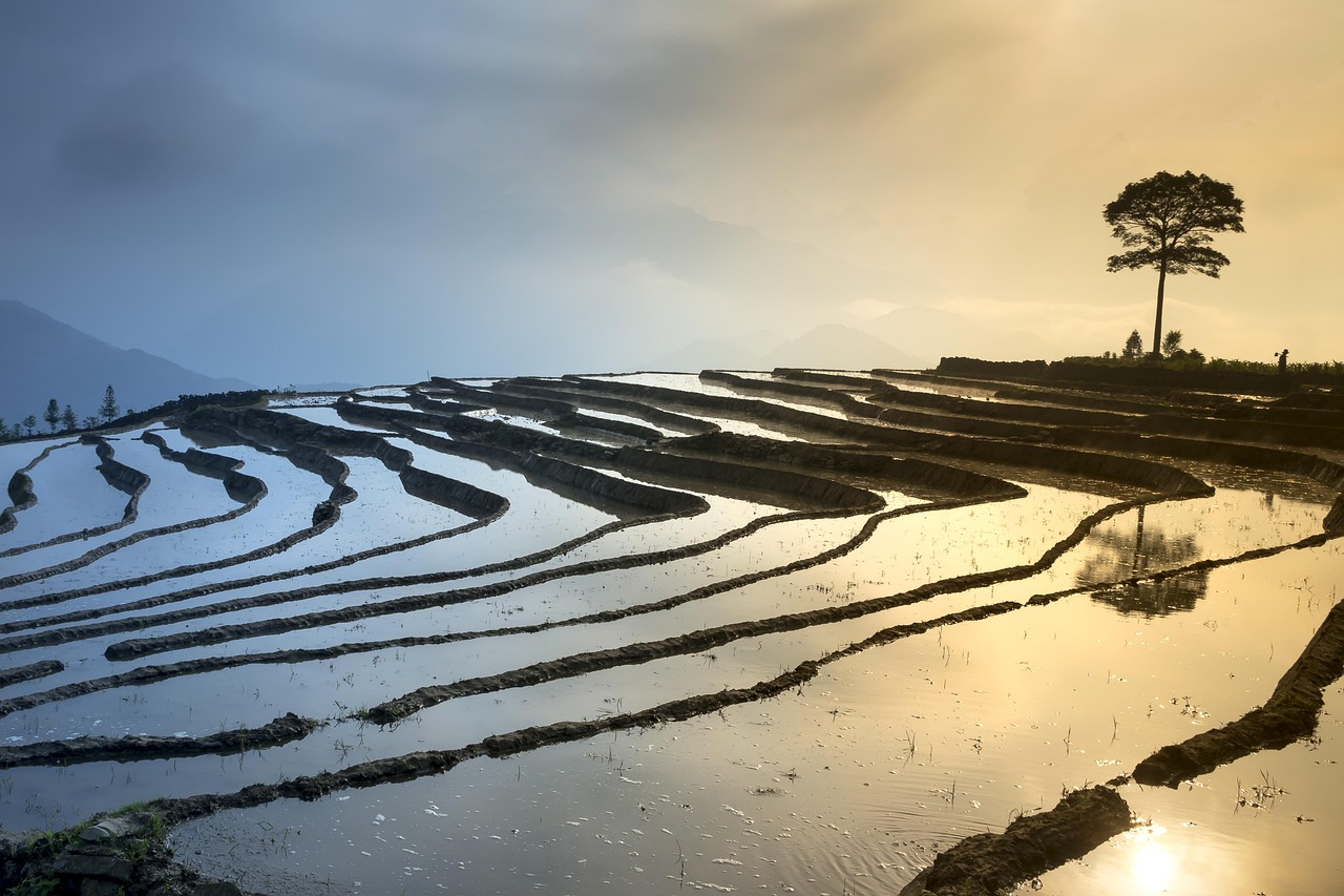 西山區(qū)草海最新規(guī)劃揭曉，描繪未來生態(tài)繁榮藍(lán)圖