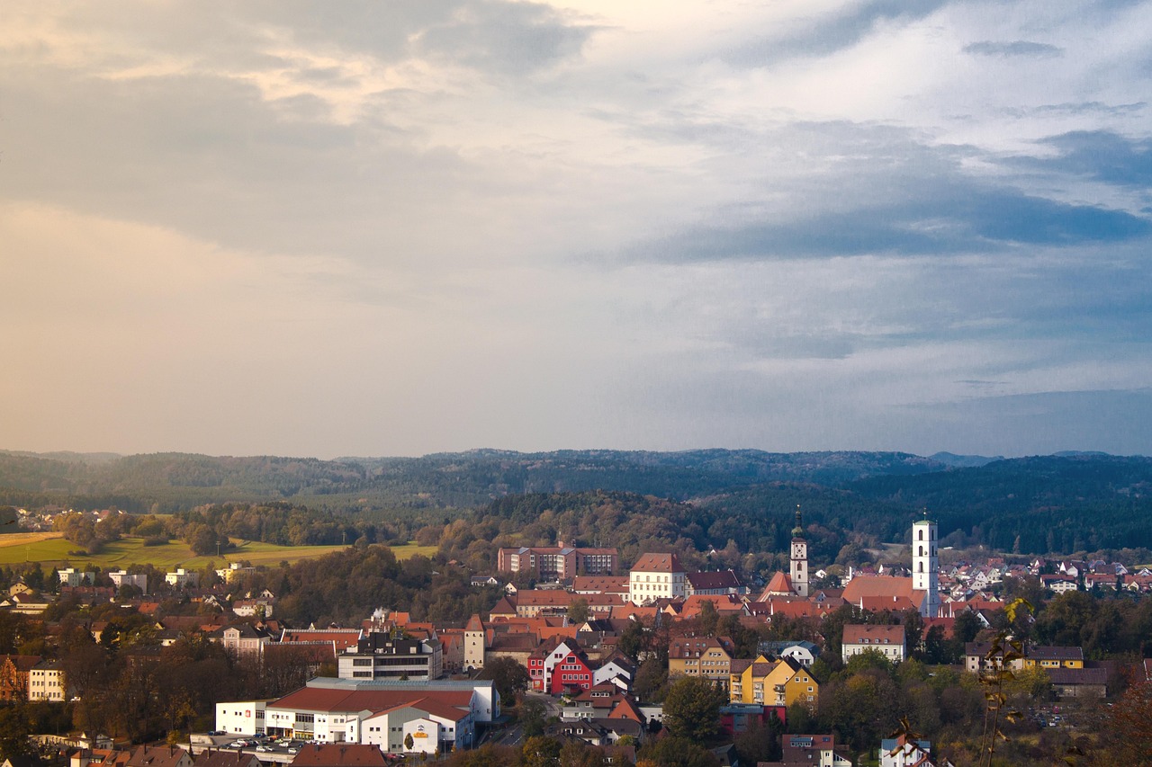 廣東公車拍賣最新消息更新,最新動(dòng)態(tài)與進(jìn)展