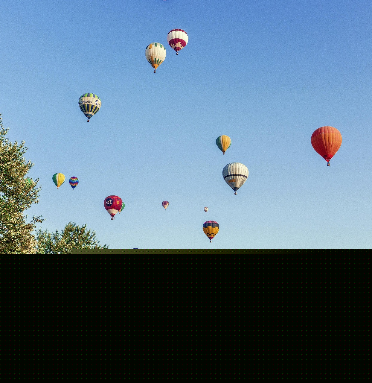 柏林國際電影節(jié),電影藝術(shù)與文化交融的盛會