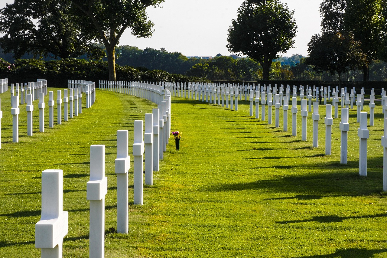 古惑仔最新動態(tài)，重燃熱血青春記憶，新動態(tài)搶先看！