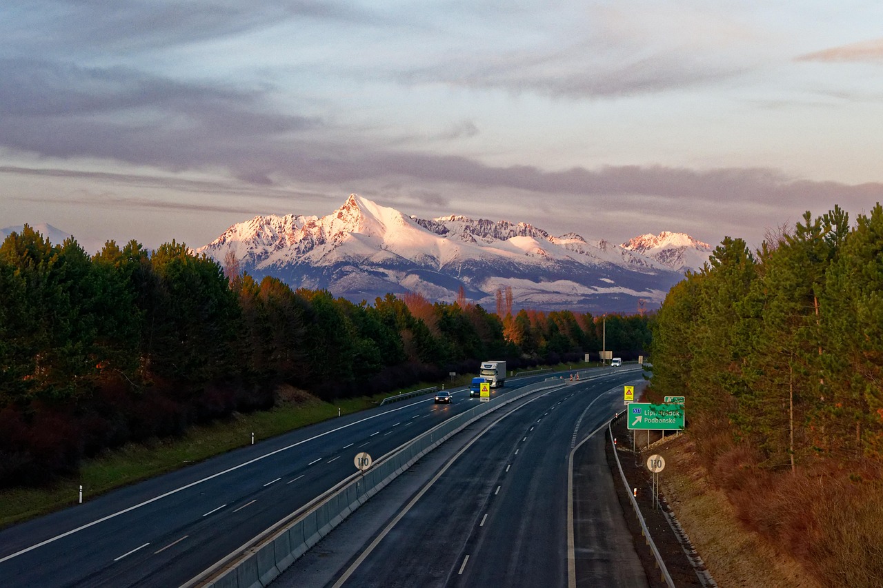 沈海高速車(chē)禍實(shí)時(shí)更新,最新消息匯總