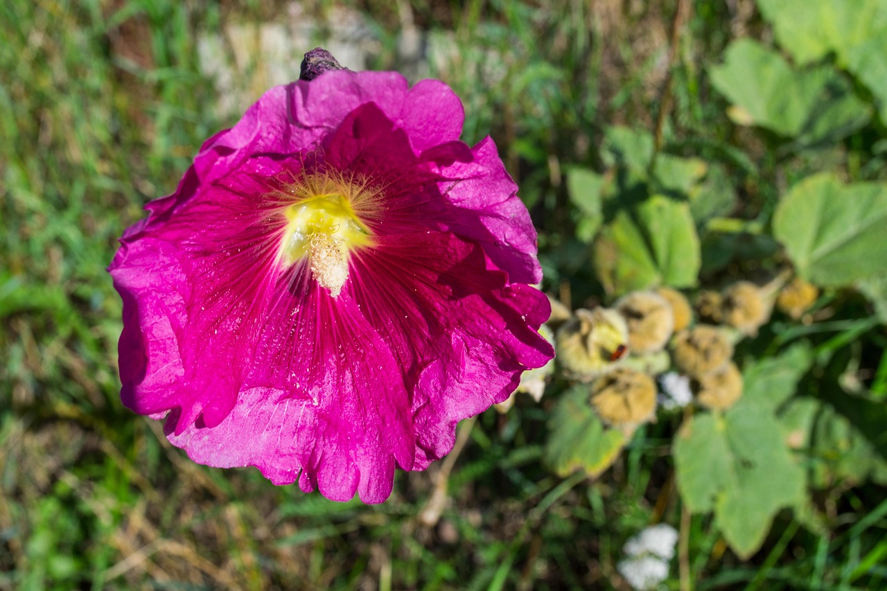 羅牛山最新動(dòng)態(tài),引領(lǐng)綠色發(fā)展的先鋒力量