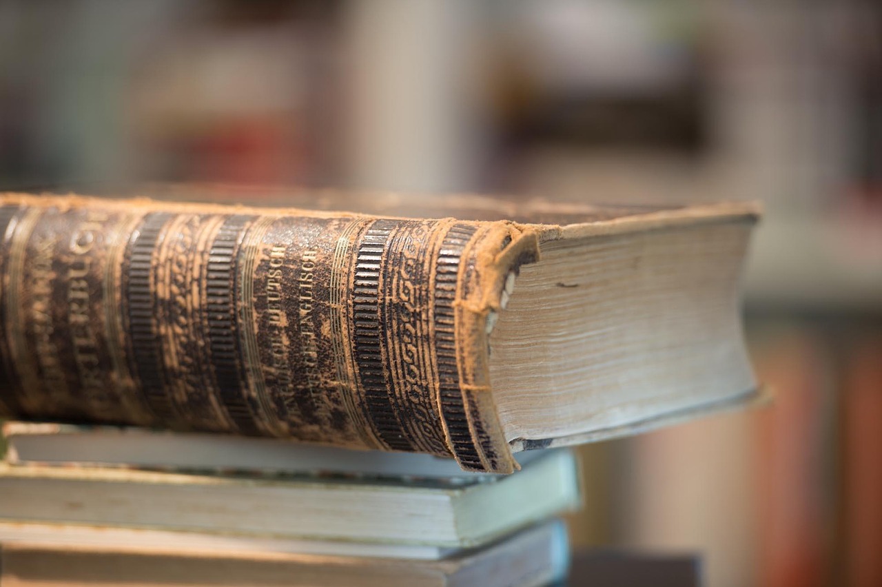 中國(guó)最新刑法修訂版的深度解讀與探討